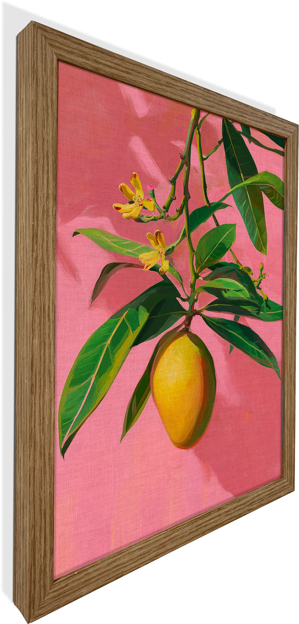 Mango on Jaipur Pink