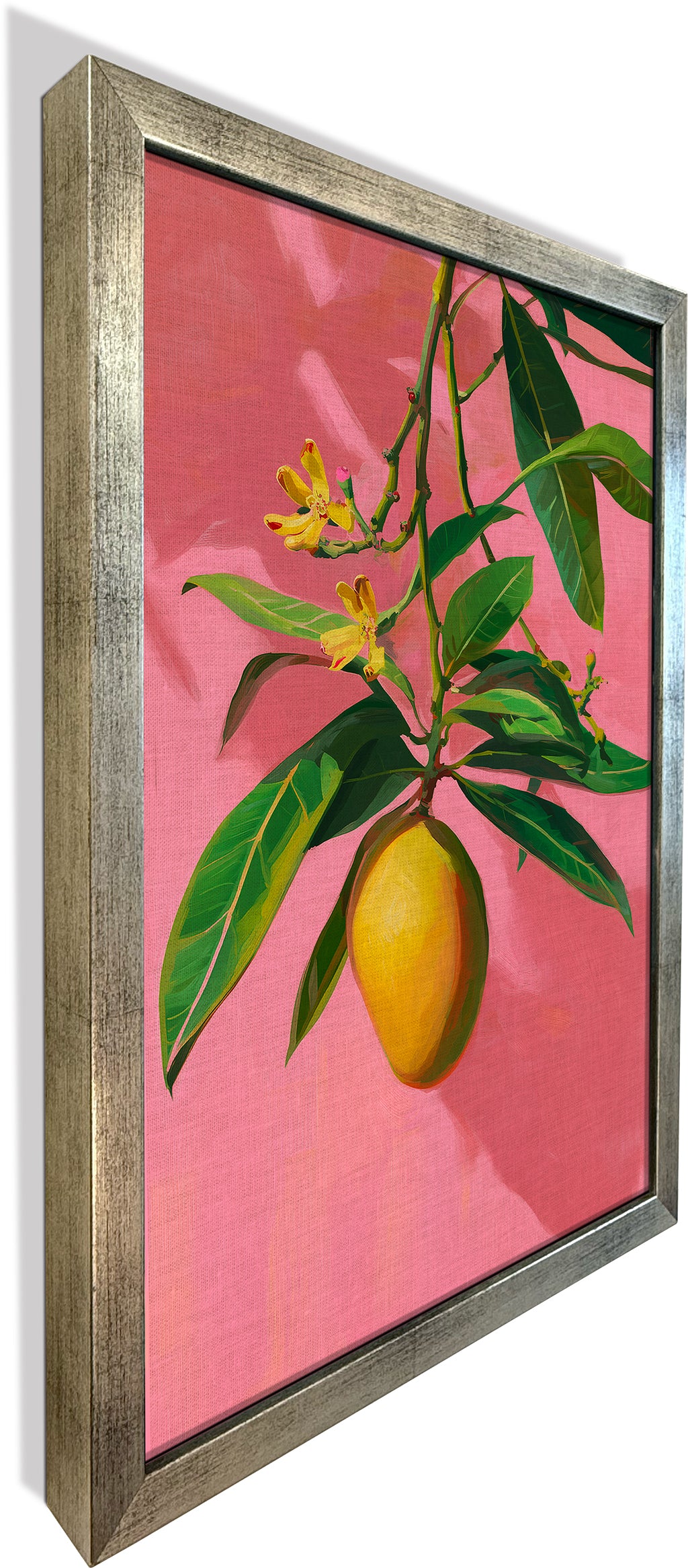 Mango on Jaipur Pink