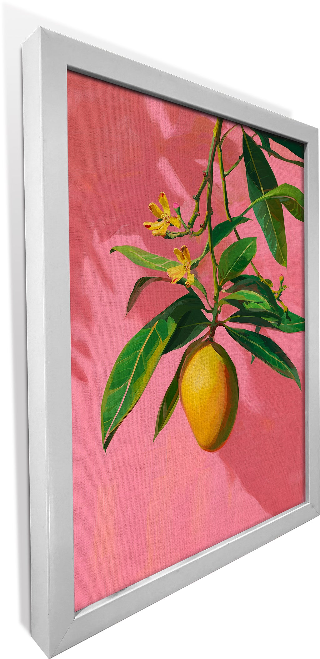 Mango on Jaipur Pink