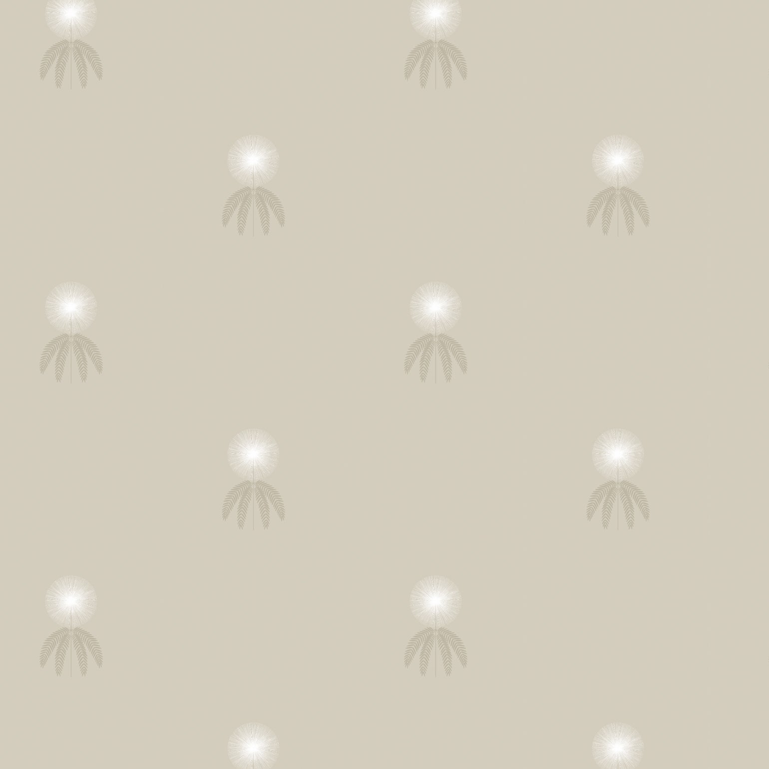 Mimosa-Olive