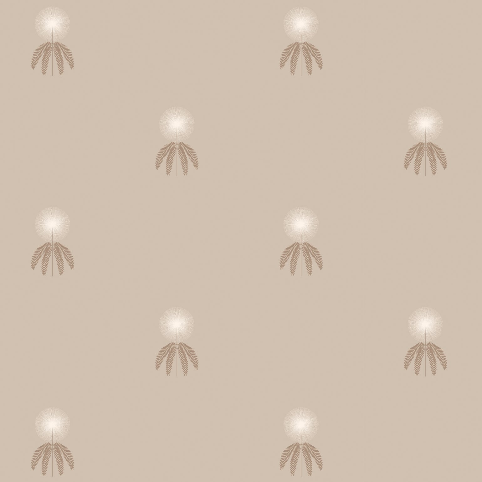 Mimosa-Olive