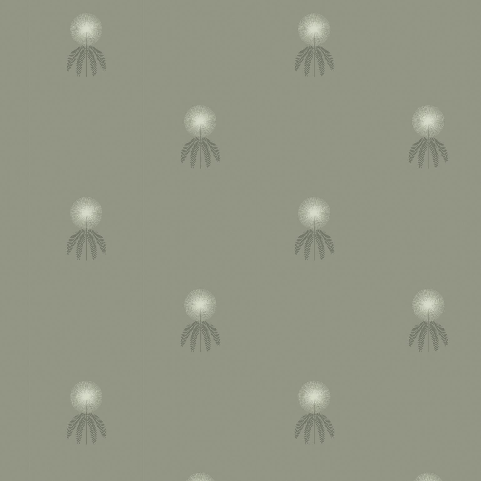 Mimosa-Olive