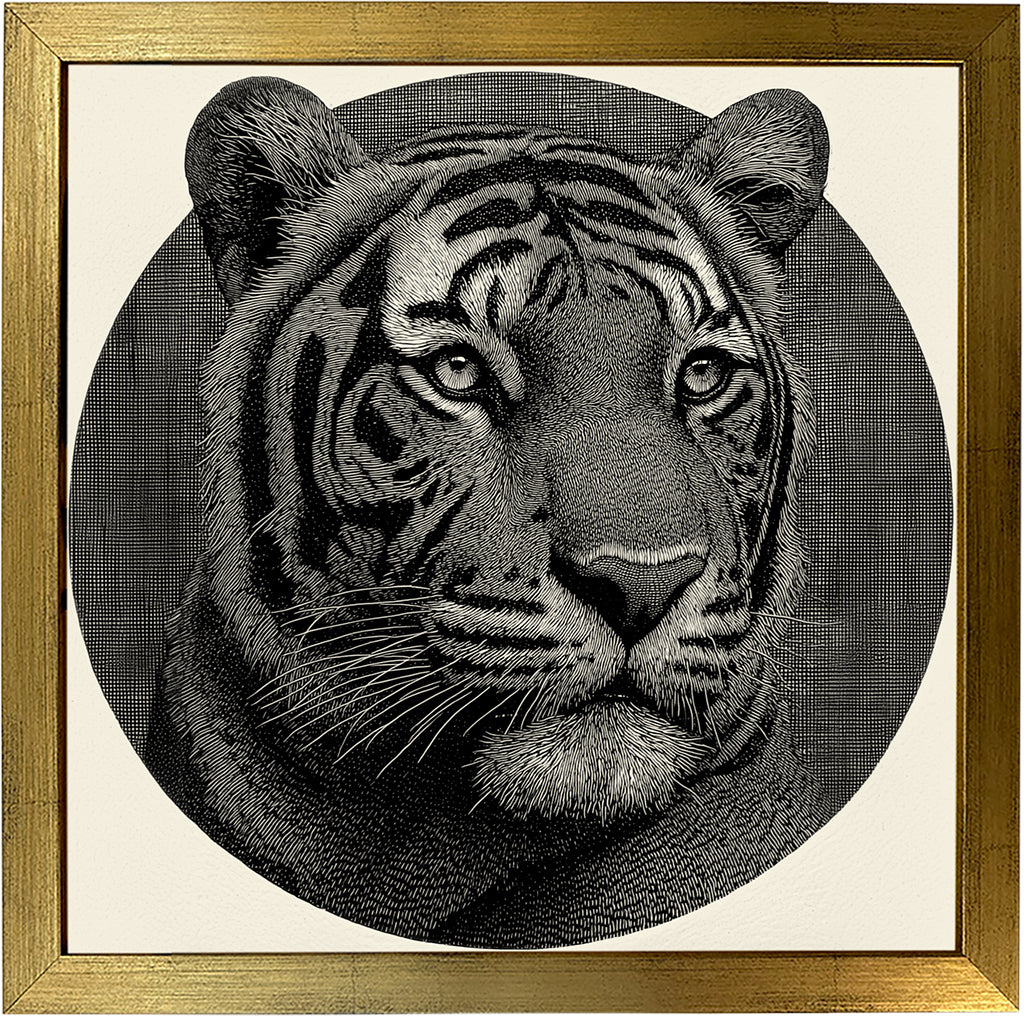 Mr. Stripes