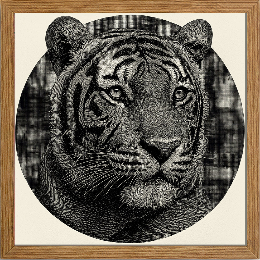 Mr. Stripes