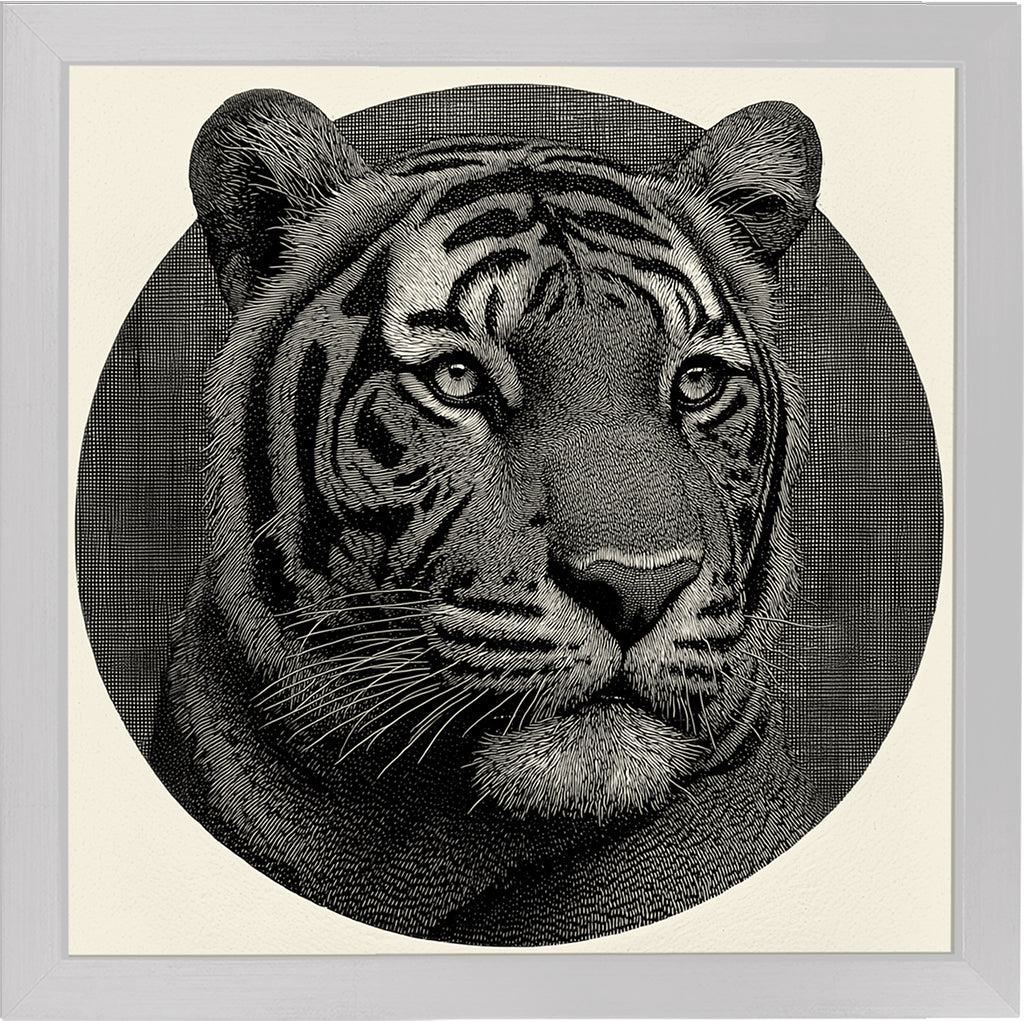 Mr. Stripes