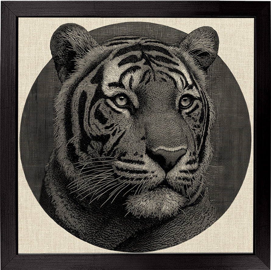 Mr. Stripes