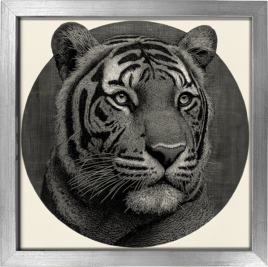 Mr. Stripes