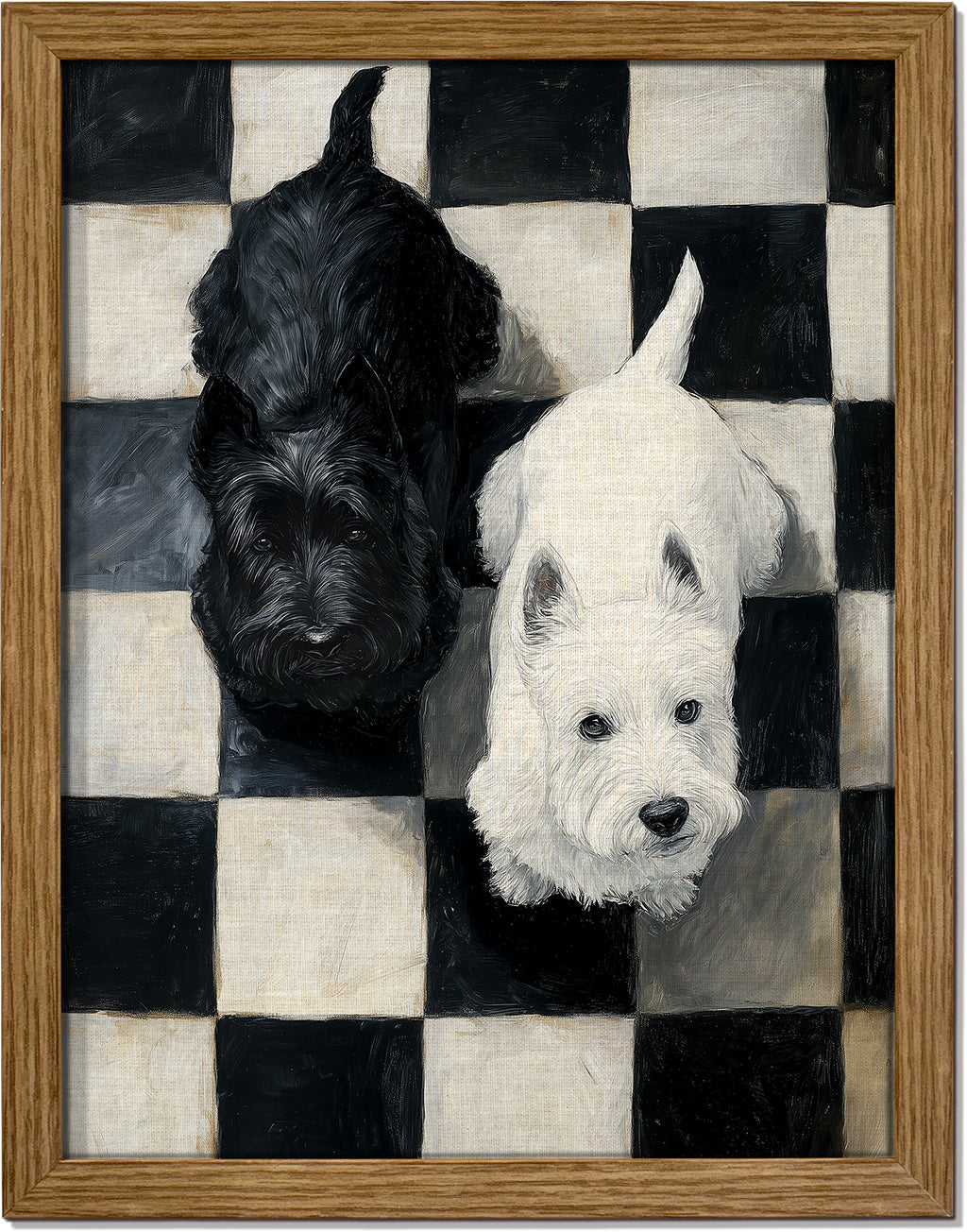 Mr. Black & Mr. White