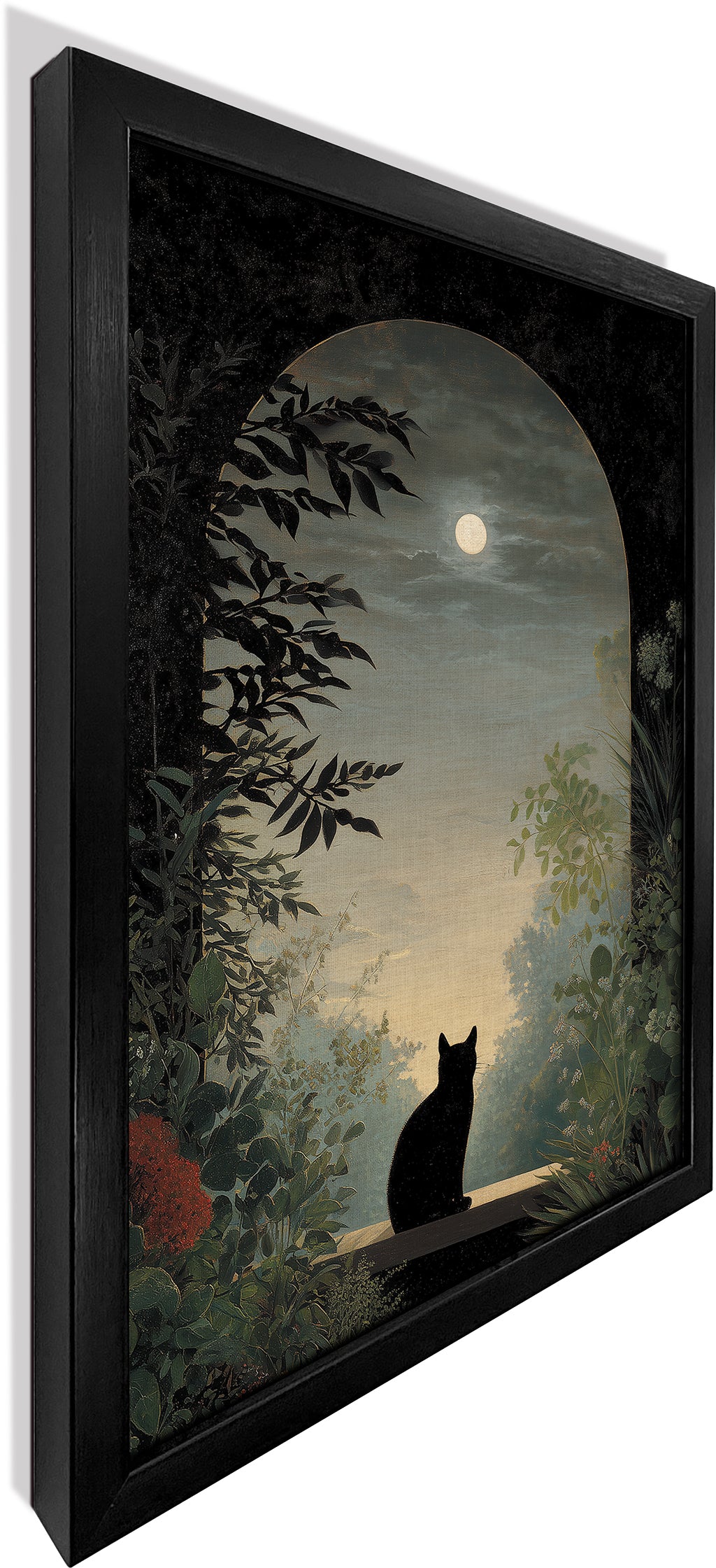 Nocturnal Cat