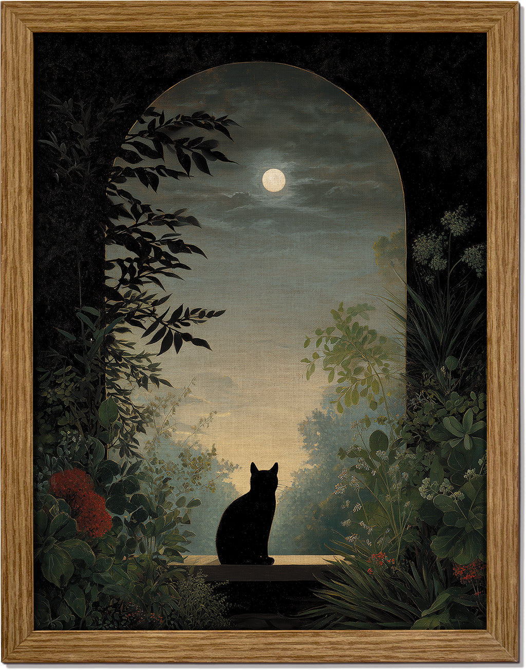 Nocturnal Cat