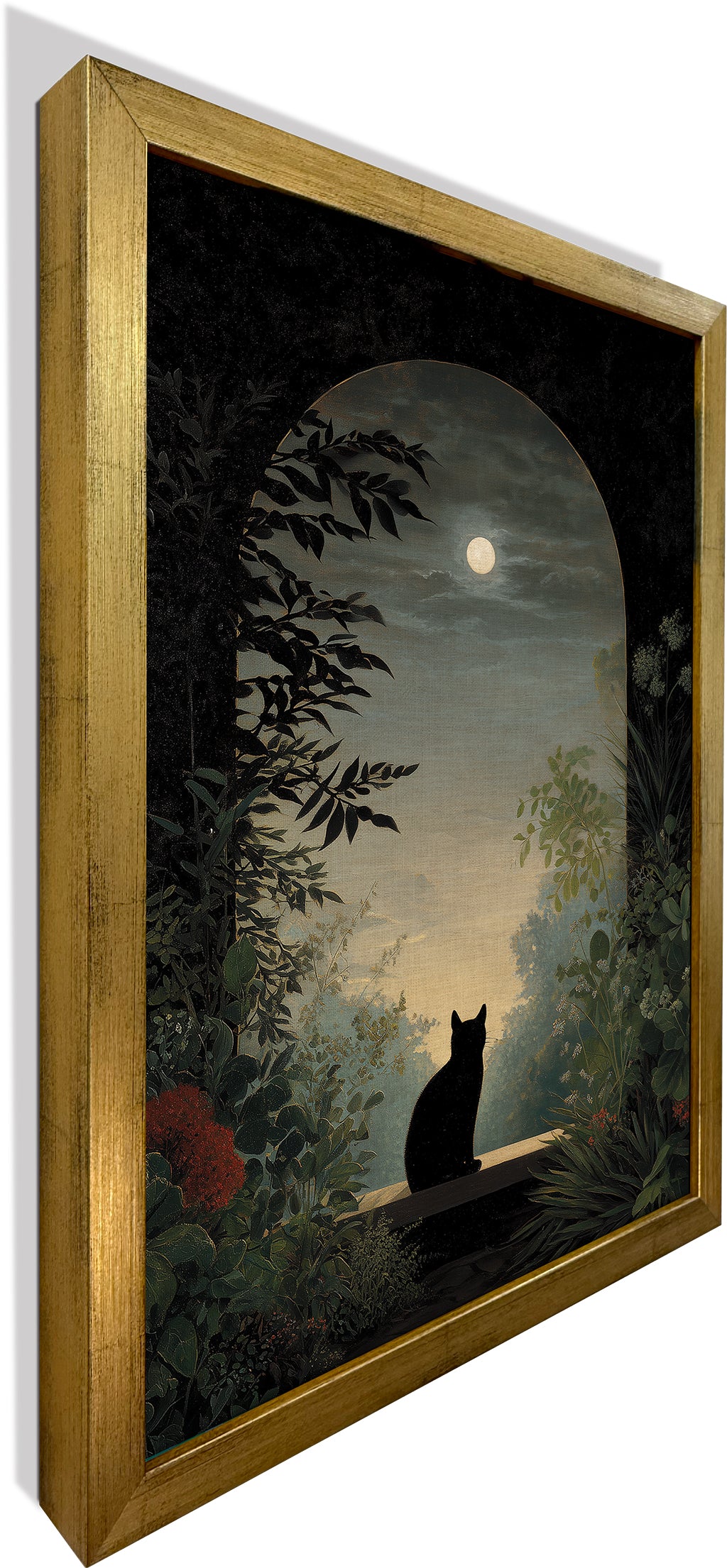 Nocturnal Cat