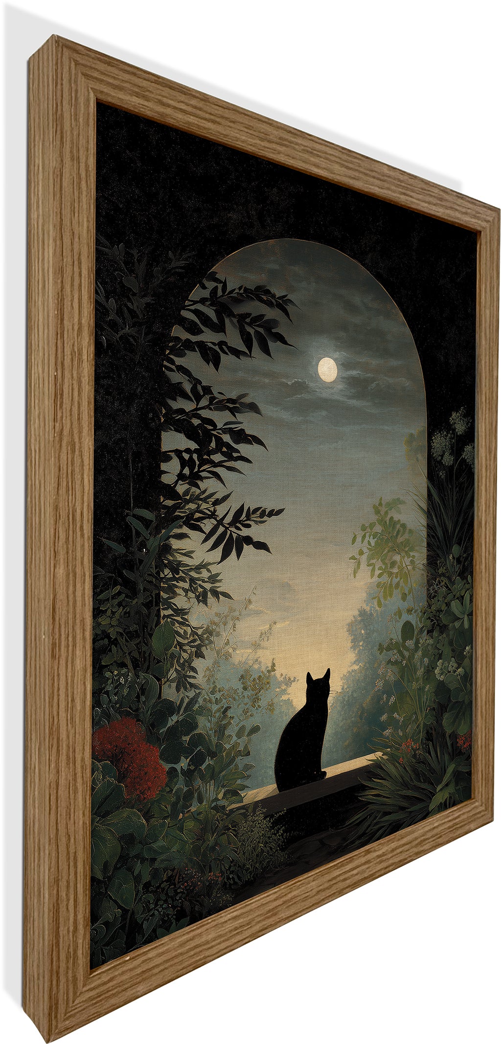 Nocturnal Cat