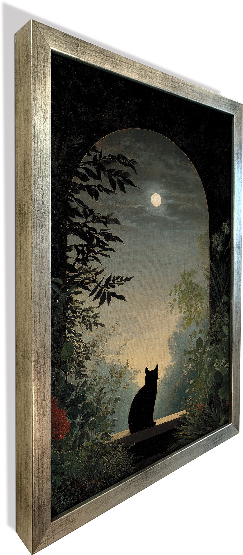 Nocturnal Cat