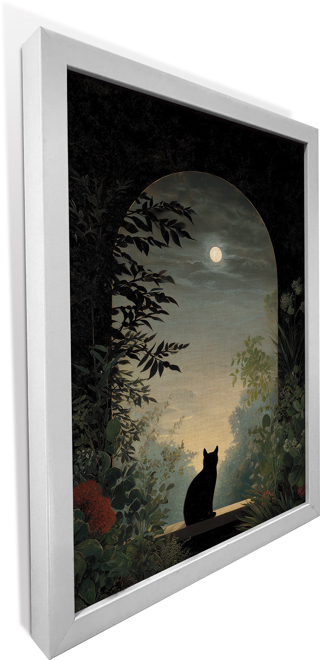 Nocturnal Cat