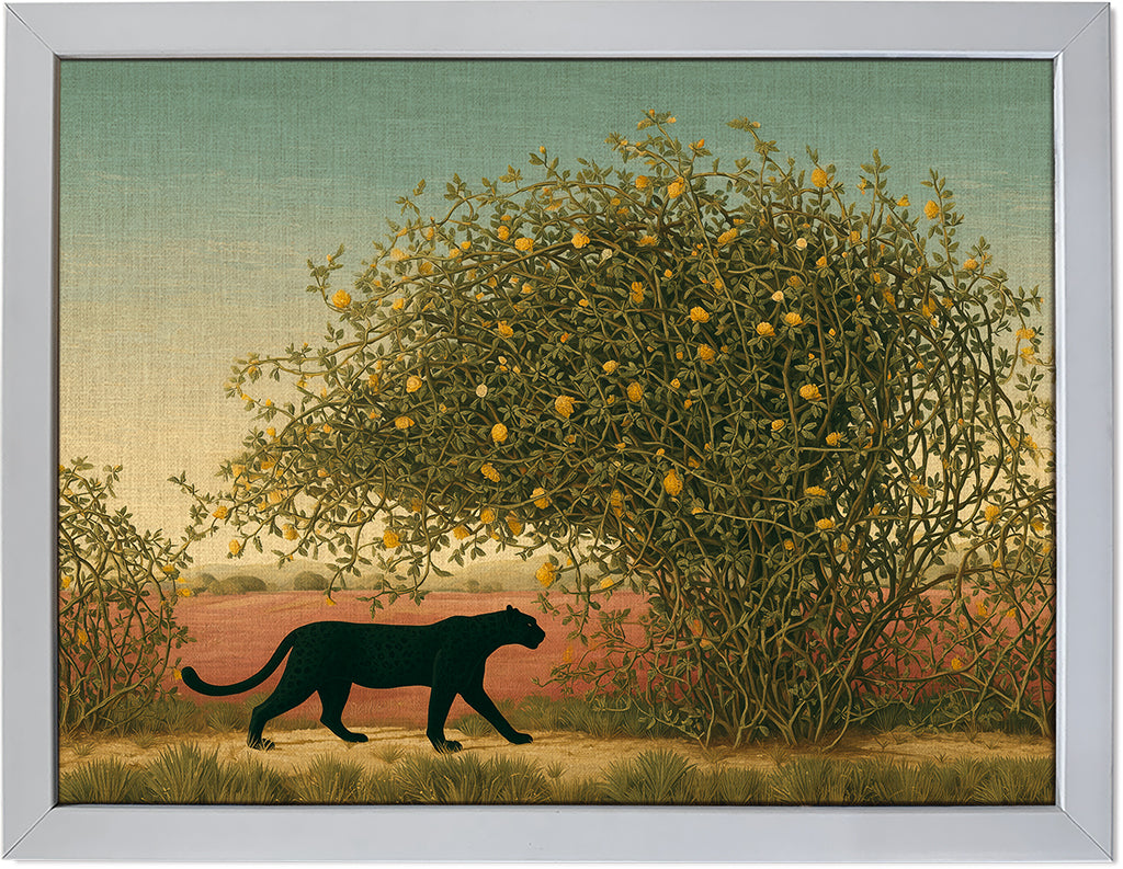 Panther in the Vine
