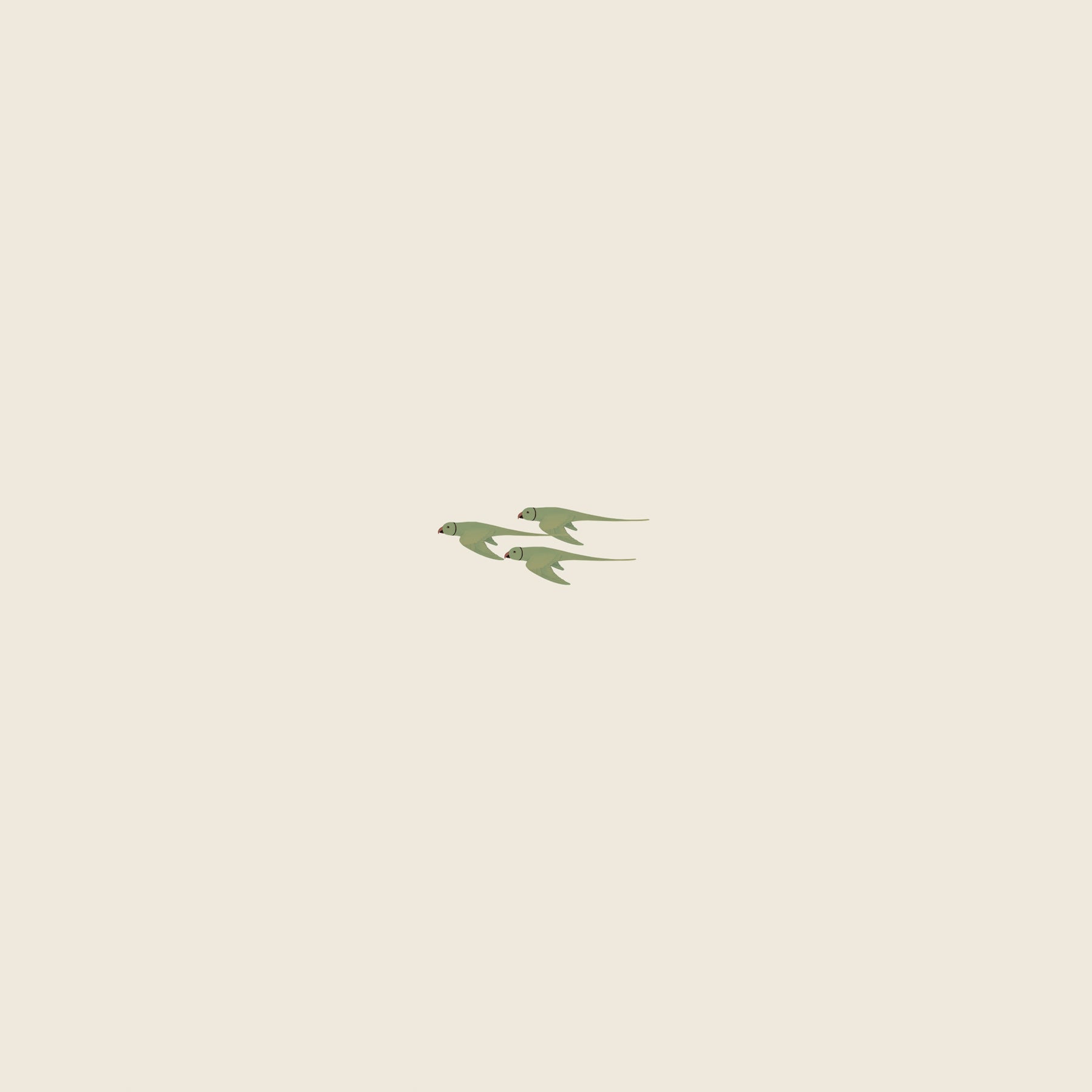 Parrot-Sand