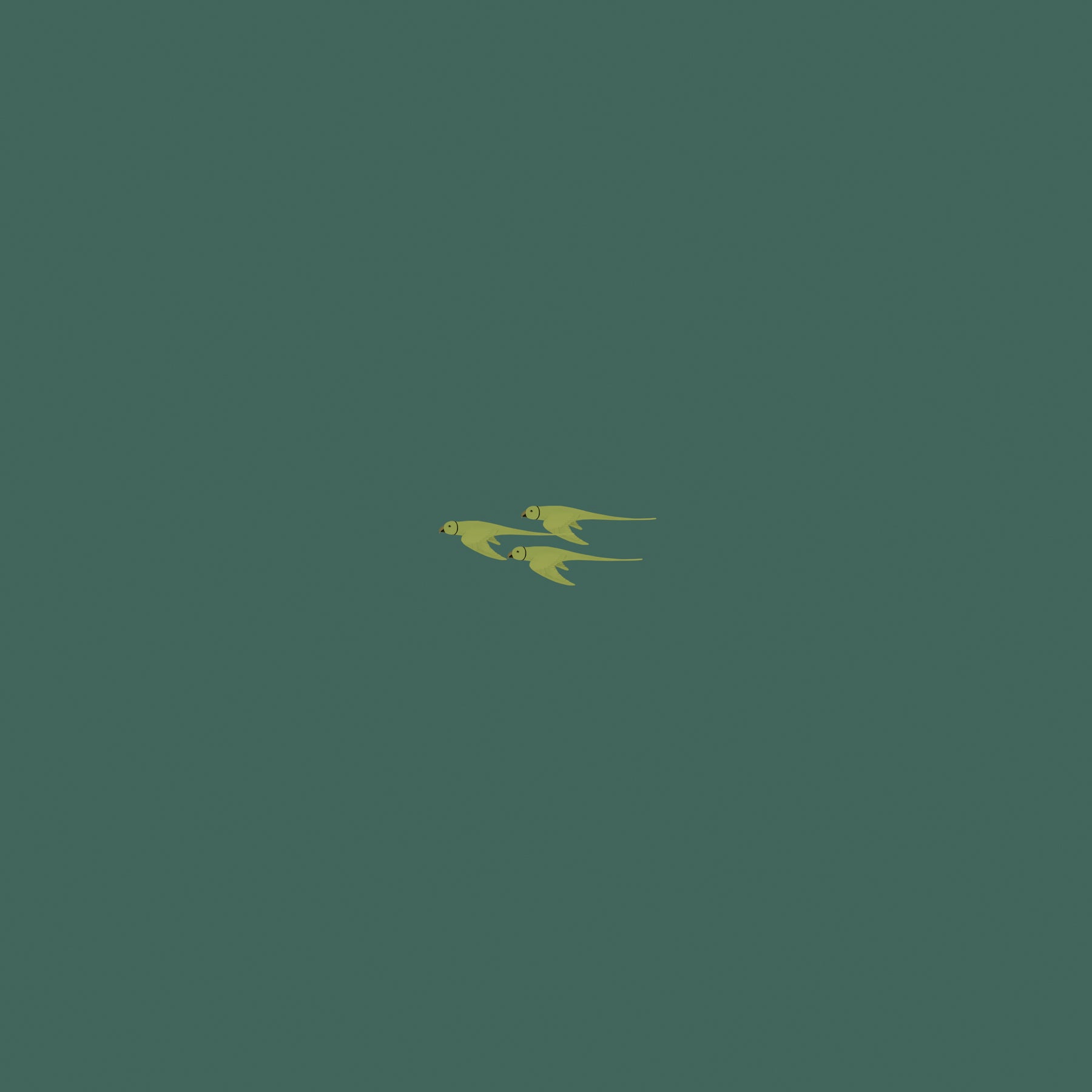 Parrot-Sand