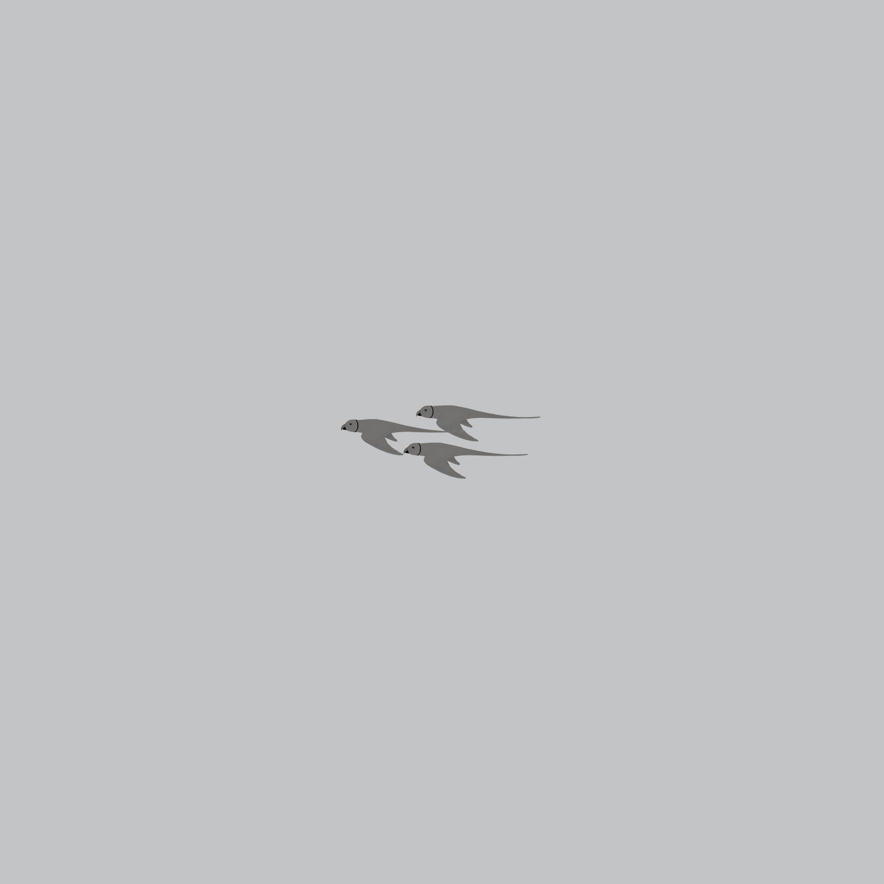 Parrot-Sand