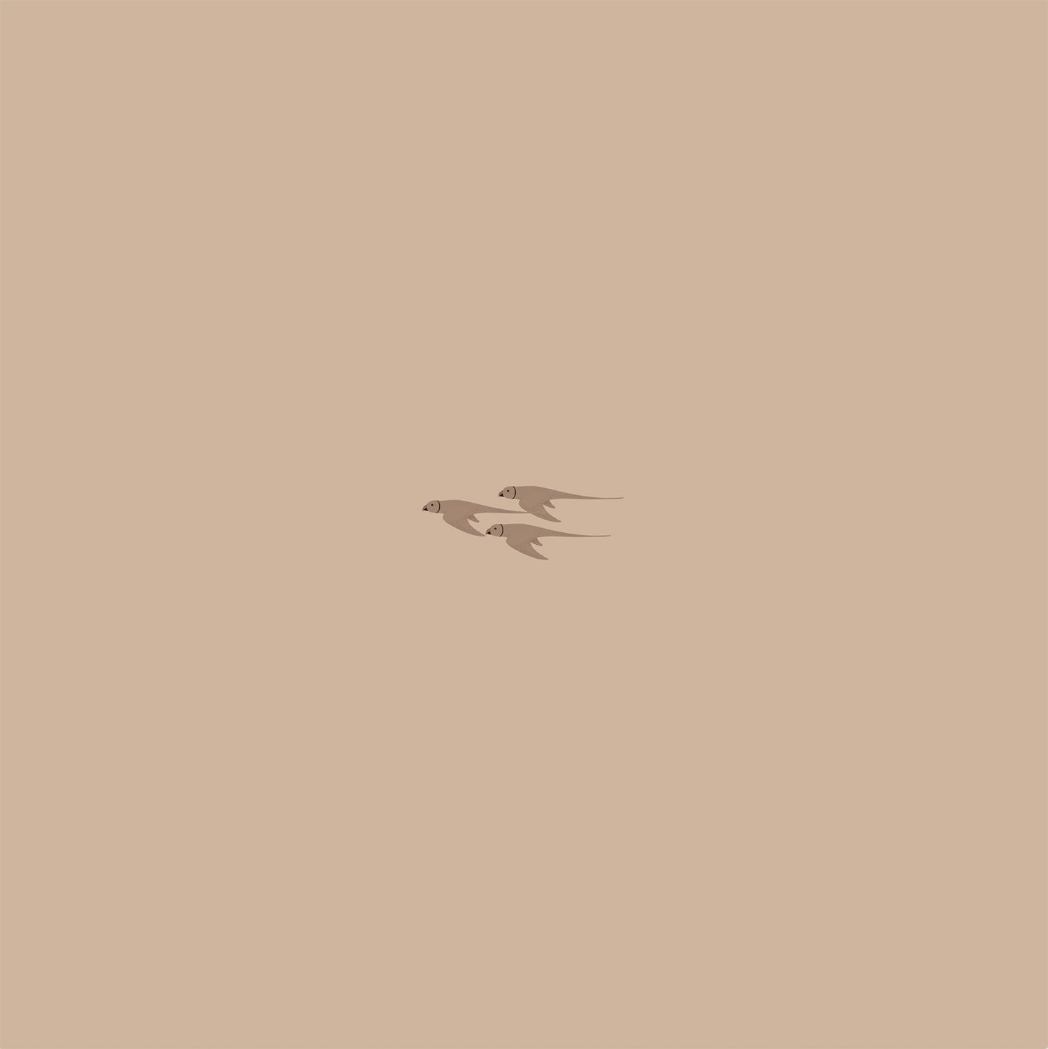 Parrot-Sand