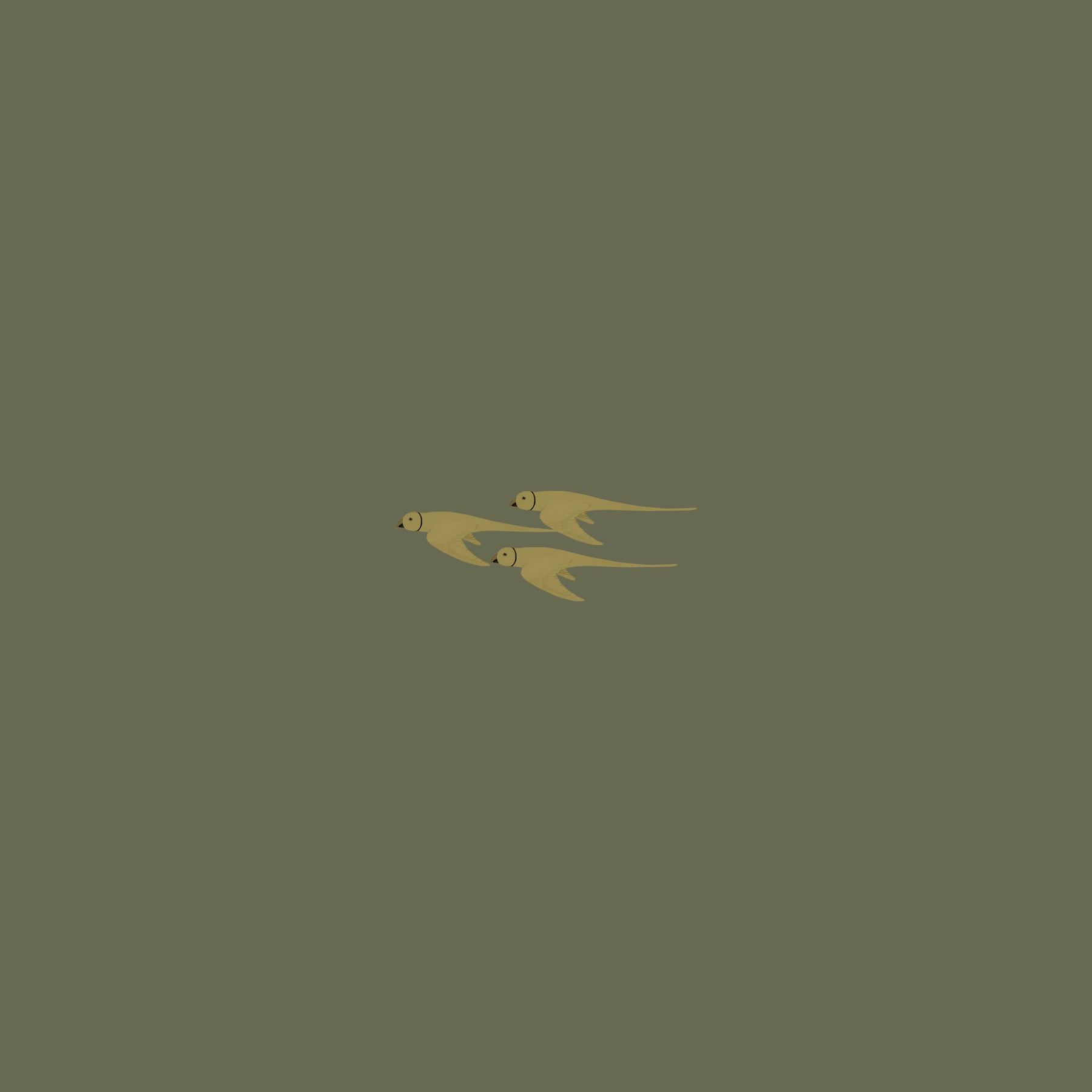 Parrot-Sand