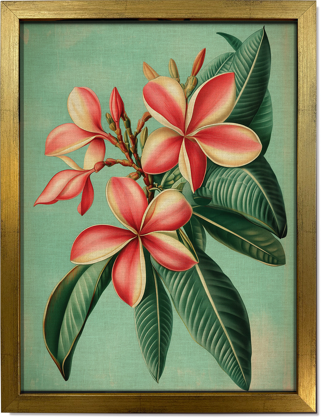 Plumeria