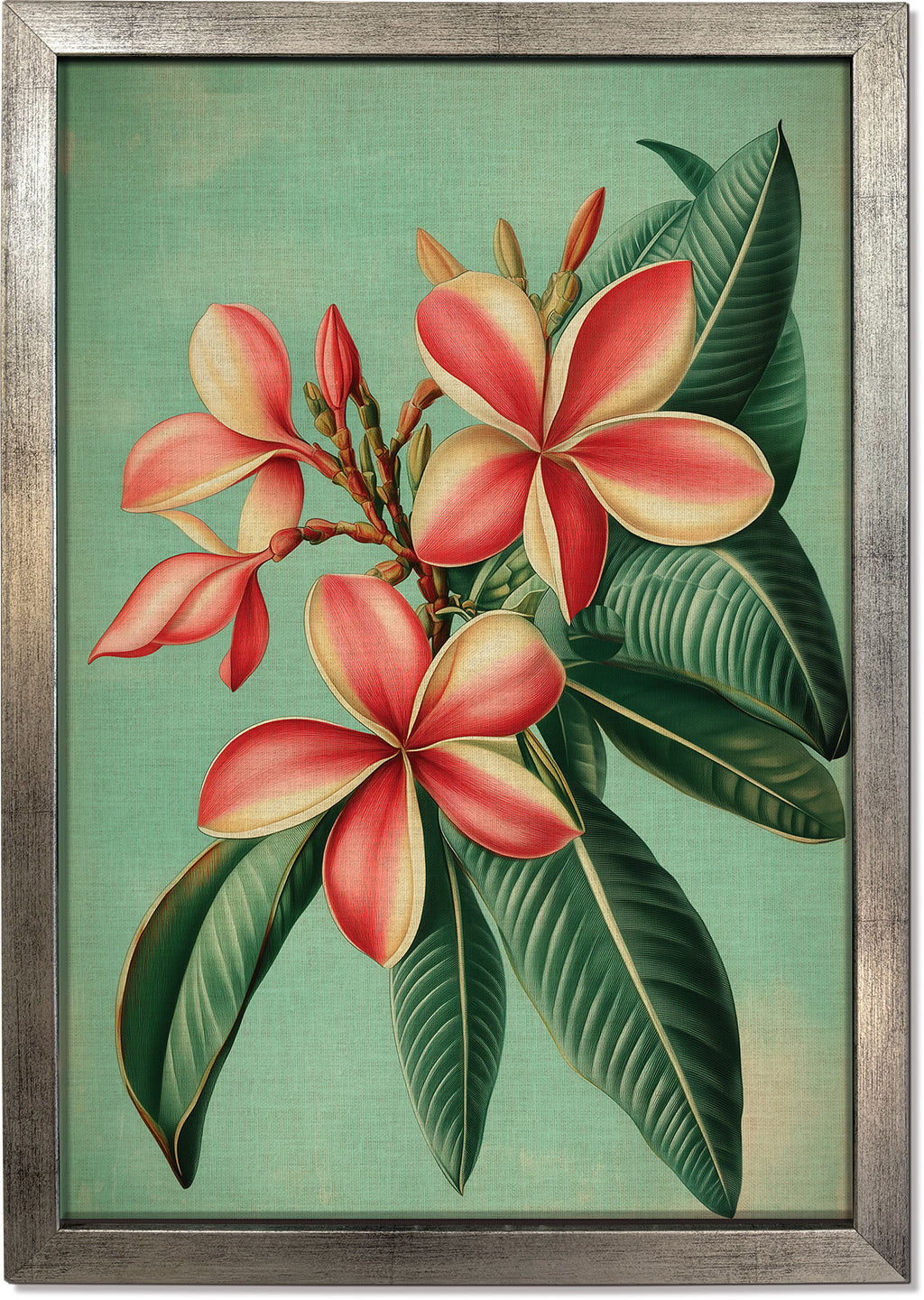 Plumeria