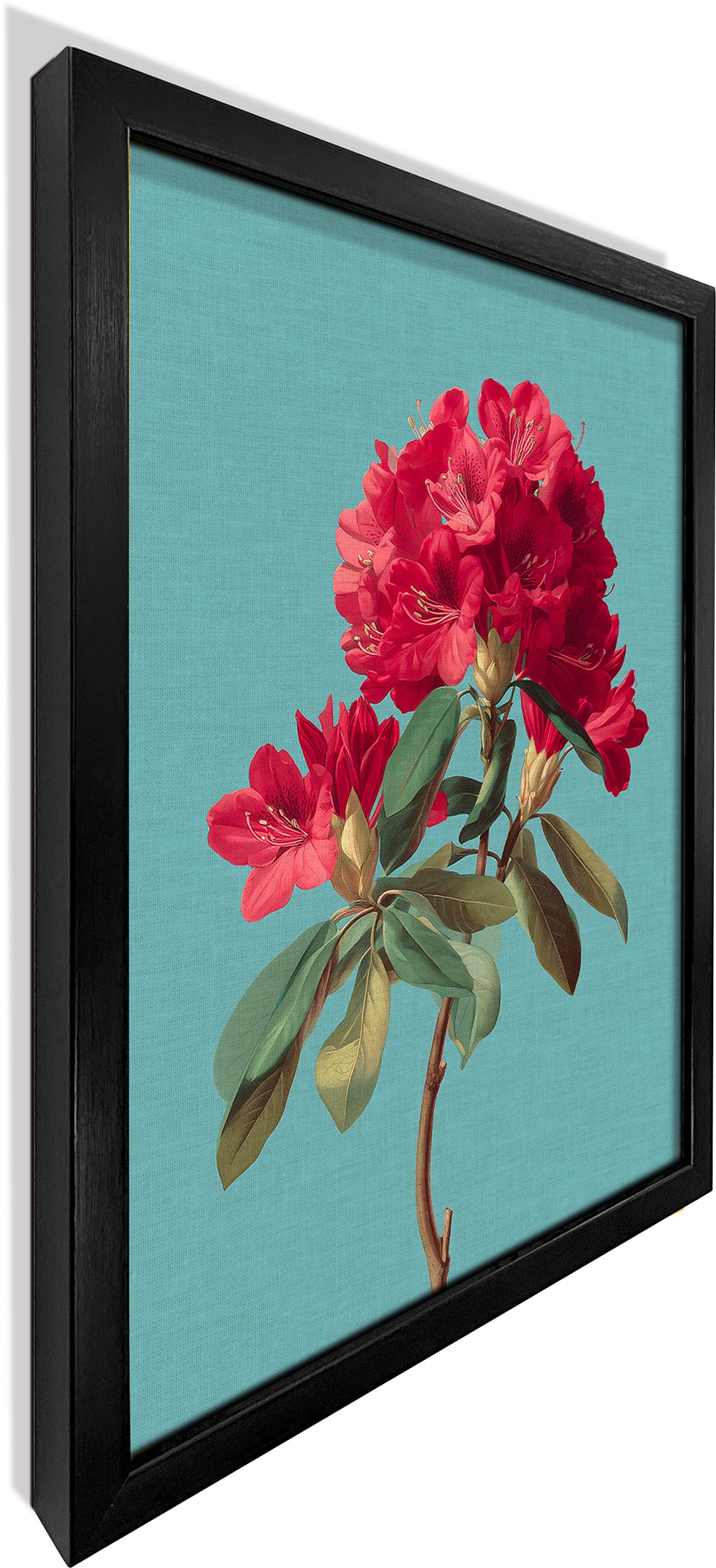 Rhododendron Bloom 2