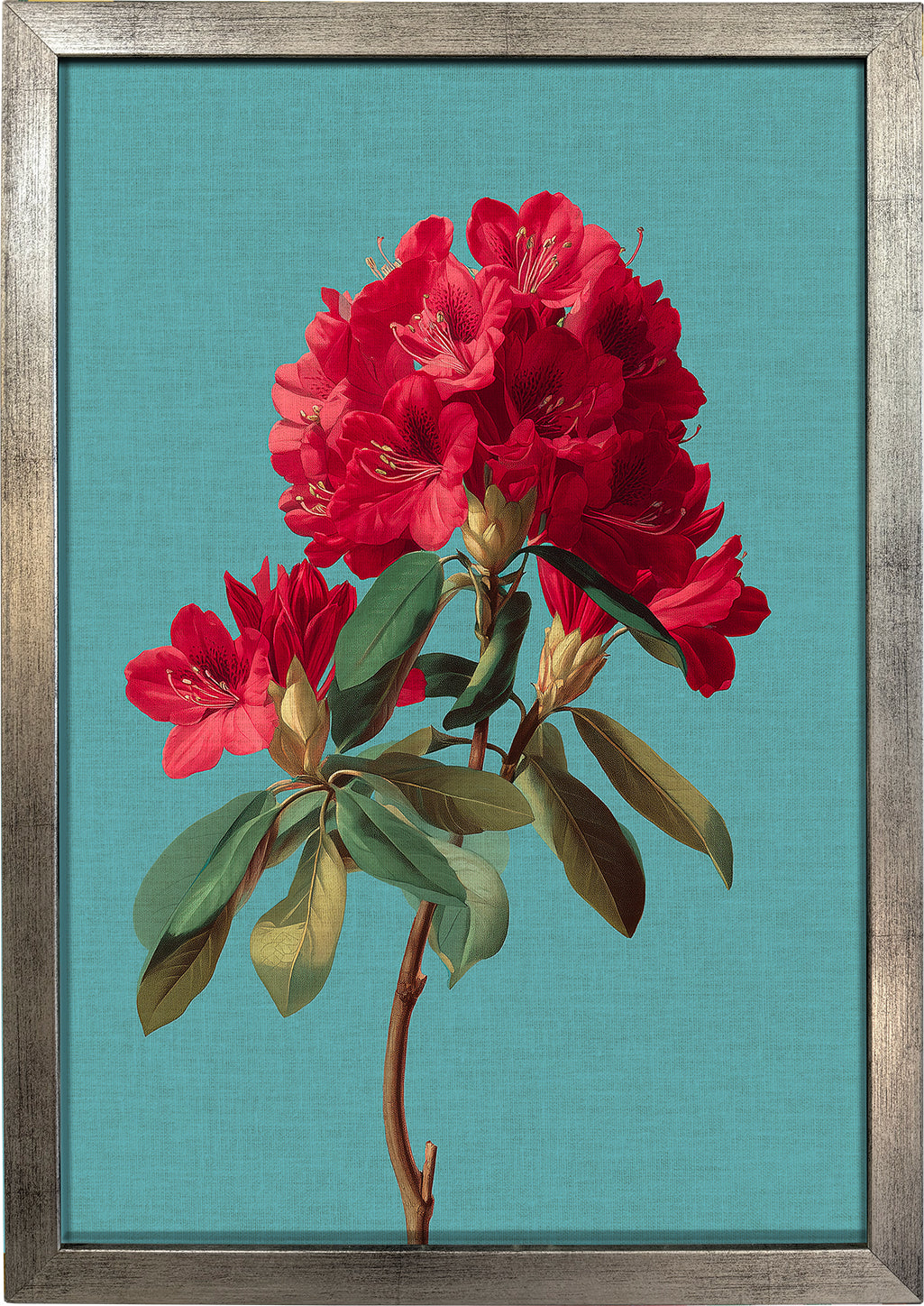 Rhododendron Bloom 2