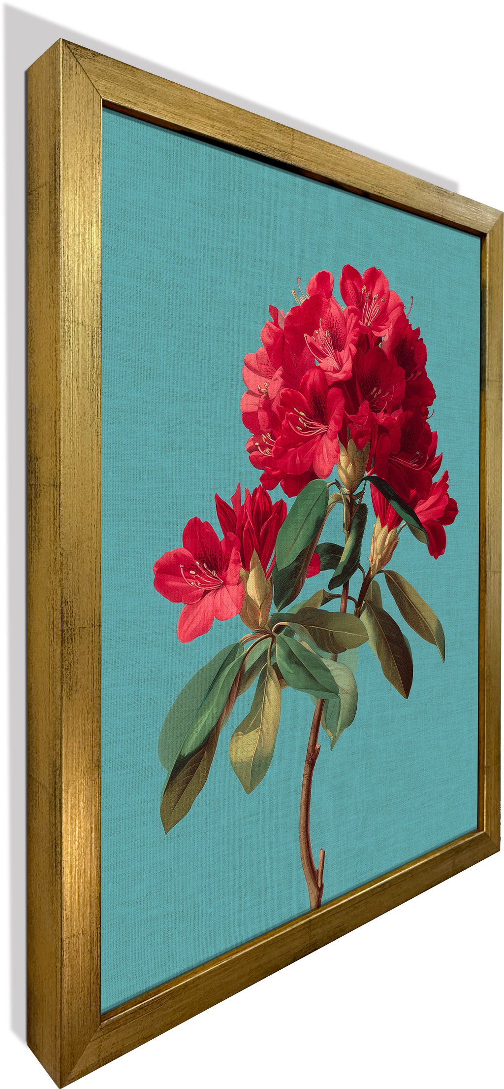 Rhododendron Bloom 2