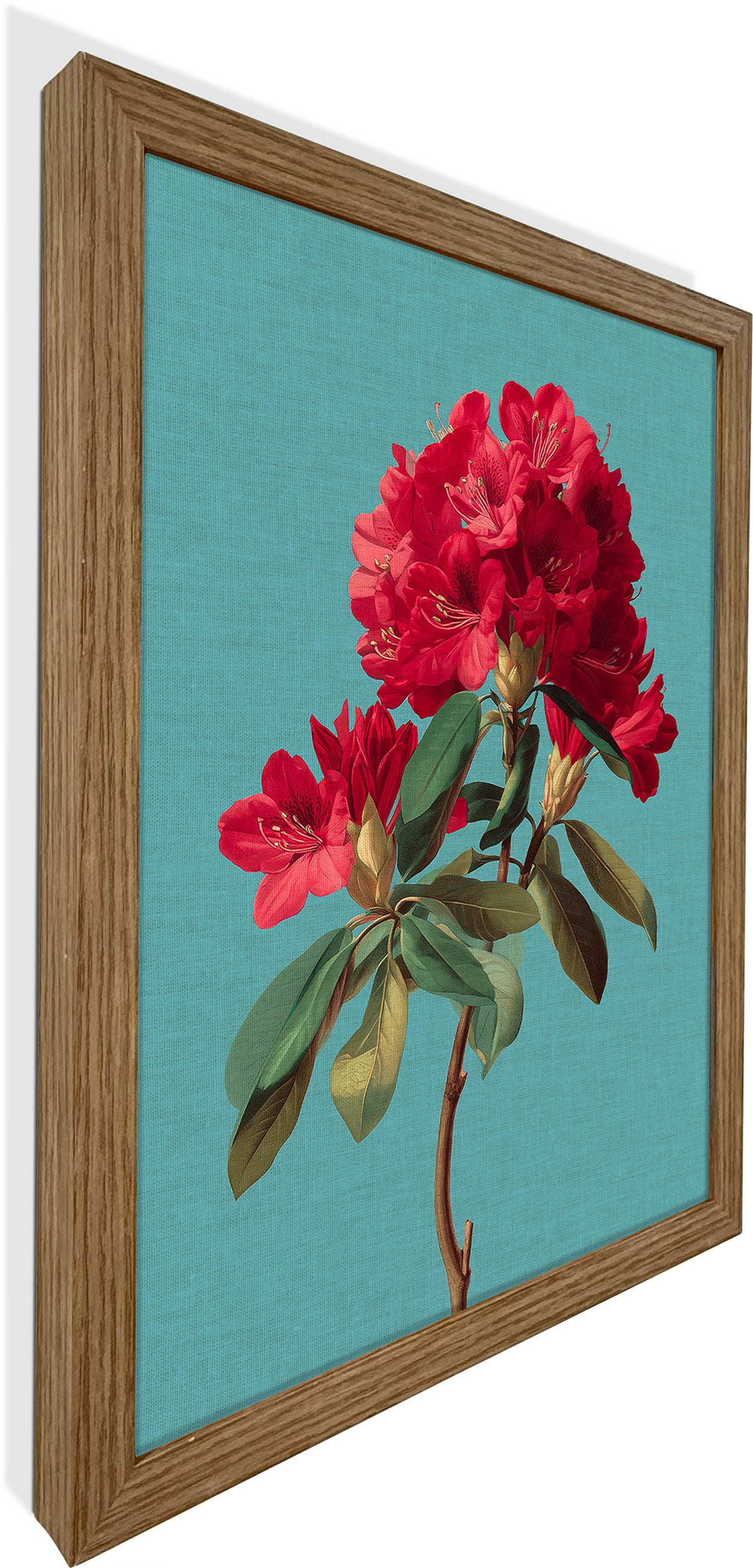 Rhododendron Bloom 2