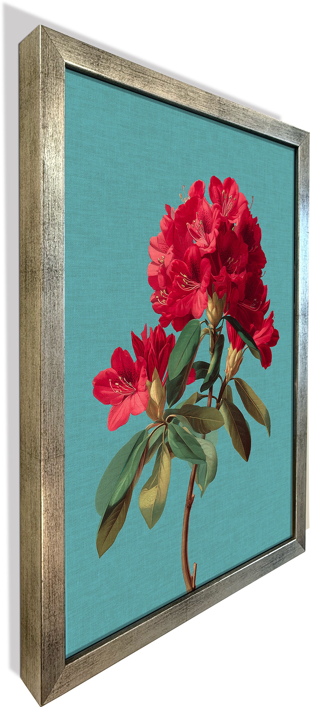 Rhododendron Bloom 2
