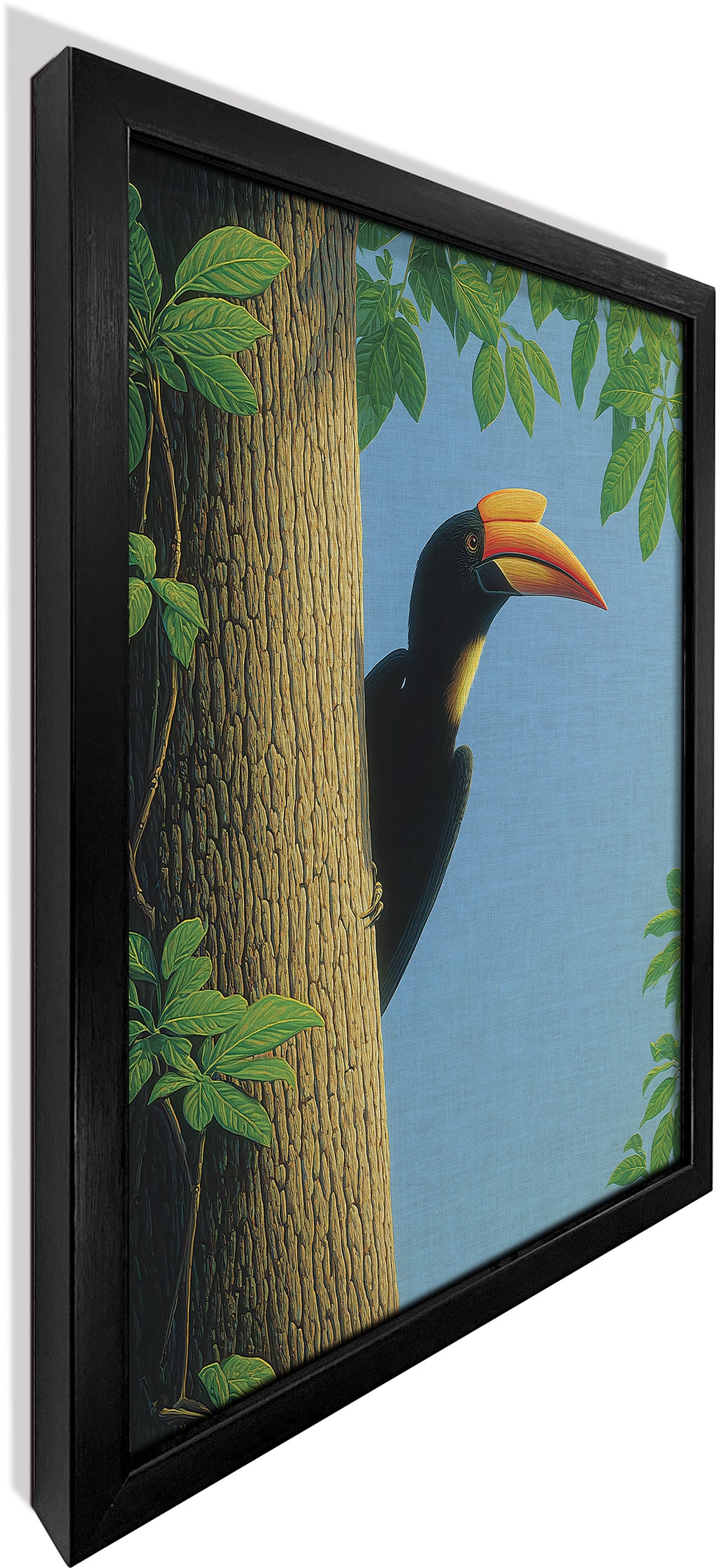 The Peeping Hornbill