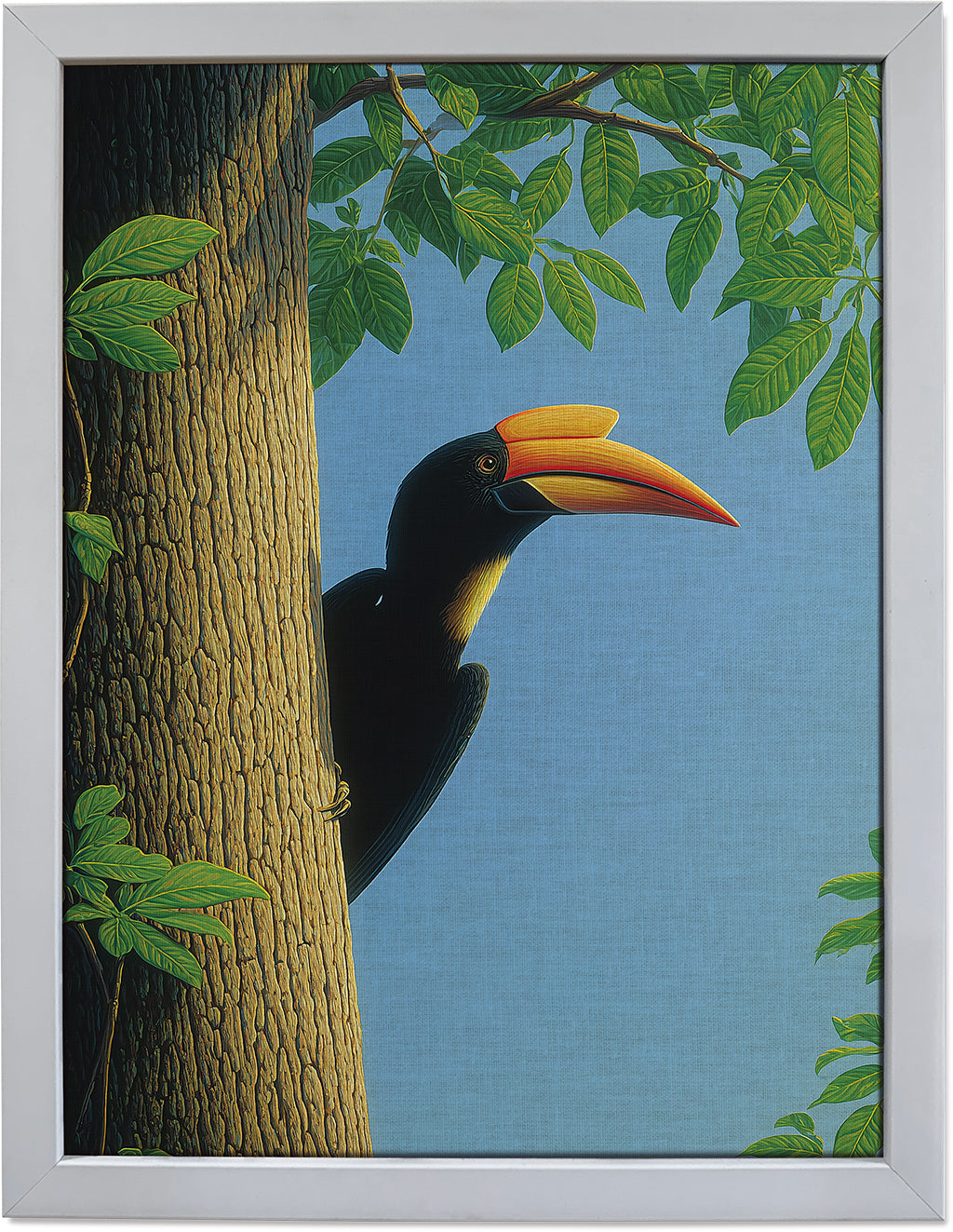 The Peeping Hornbill