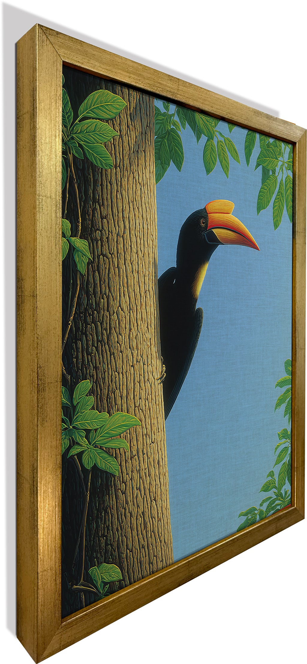 The Peeping Hornbill