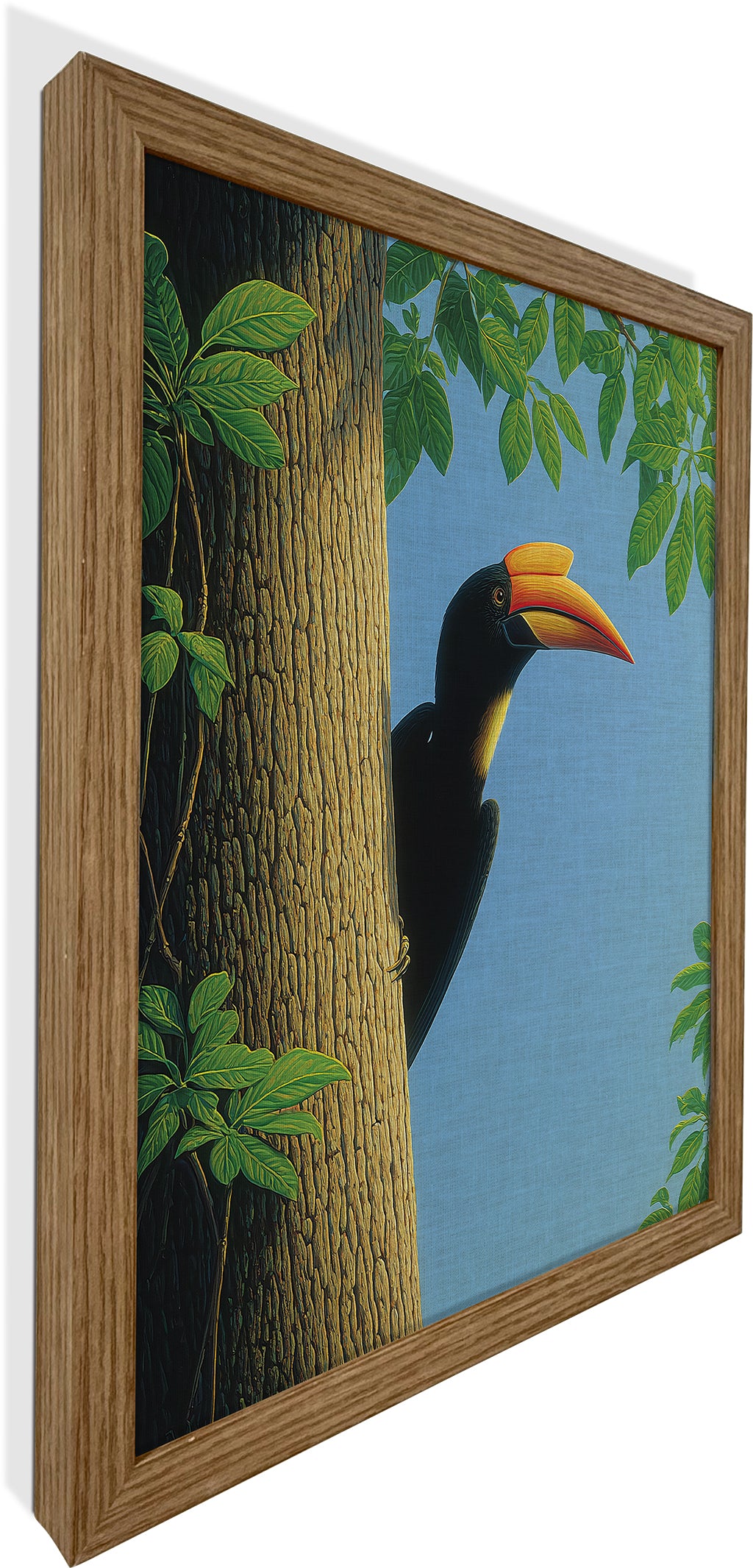 The Peeping Hornbill