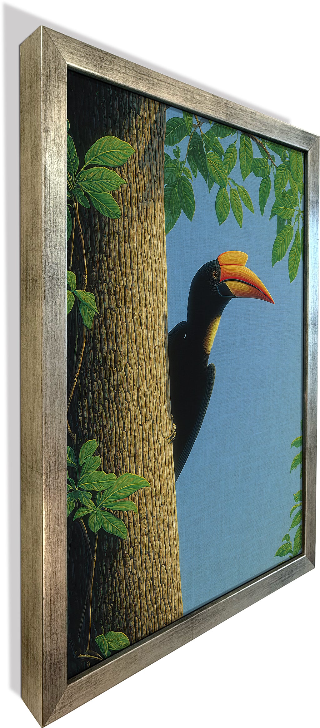 The Peeping Hornbill