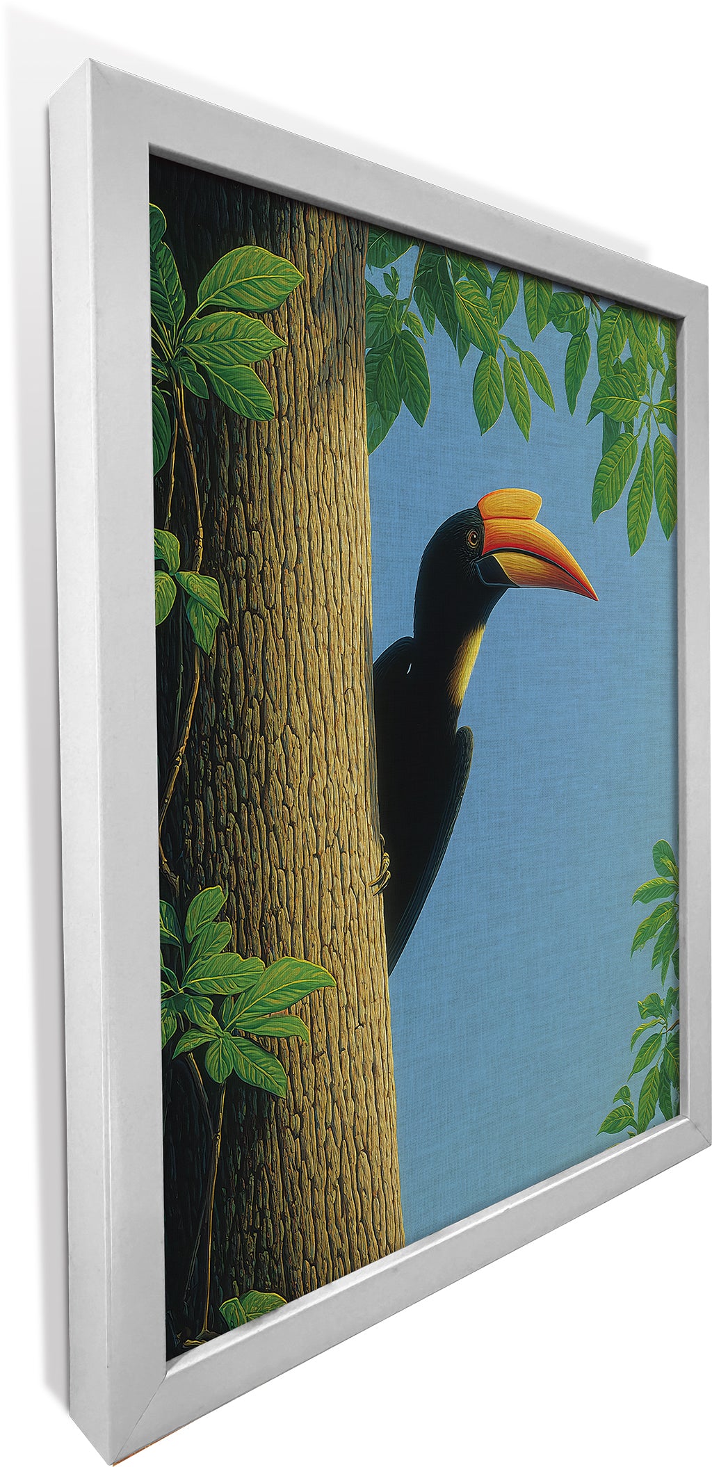The Peeping Hornbill