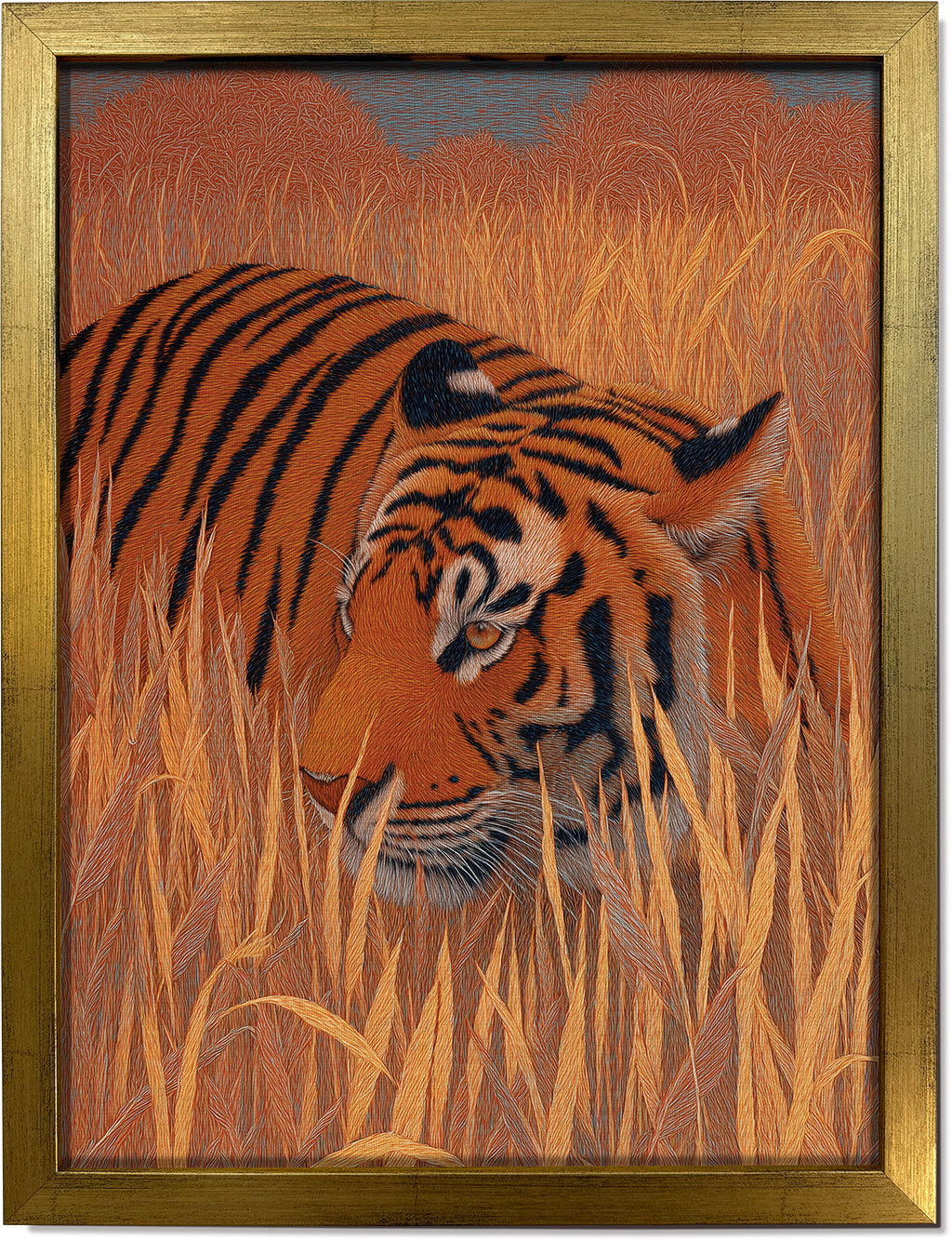 Tiger in Kaziranga