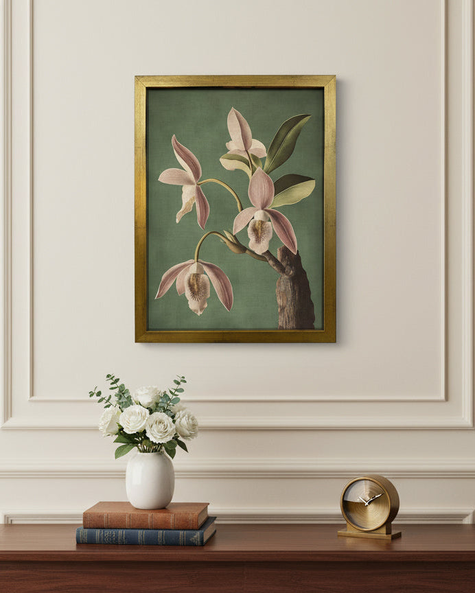 Wild Orchid