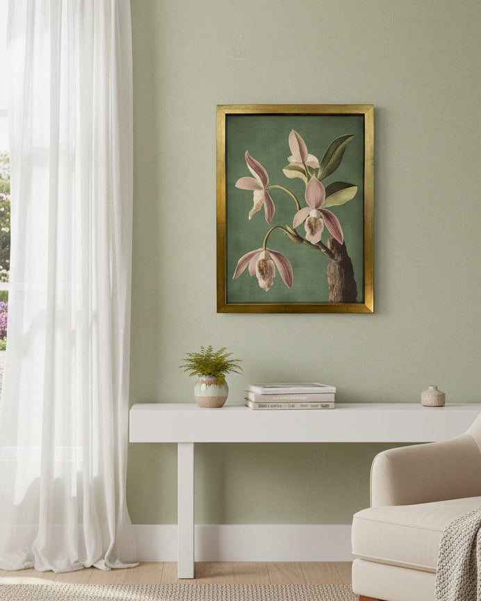 Wild Orchid